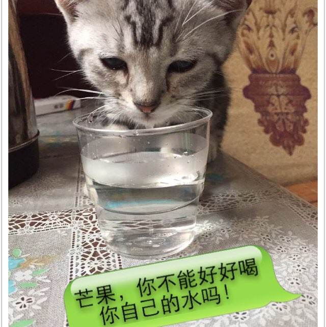 怎么买假的威廉伍兹大学文凭毕业证